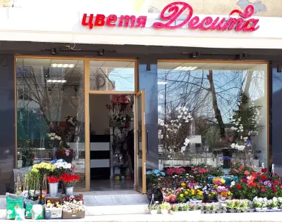 Цветно вълшебство"ДЕСИТА"