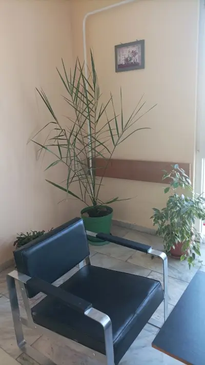 РЗИ Перник