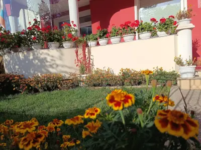 Стаи за гости Ве-Бо-Ли**