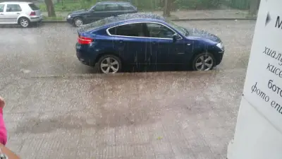 Вивелт