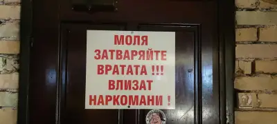 бар Френдс