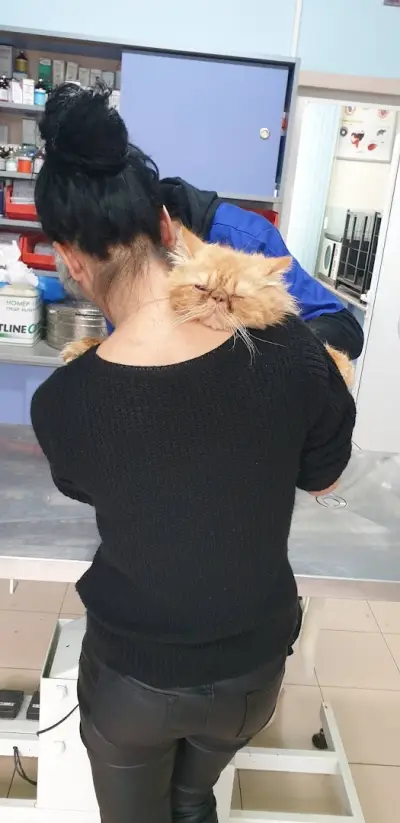 Duo Vet