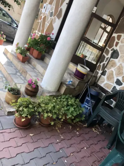 Студио Ади в комплекс Пирин голф