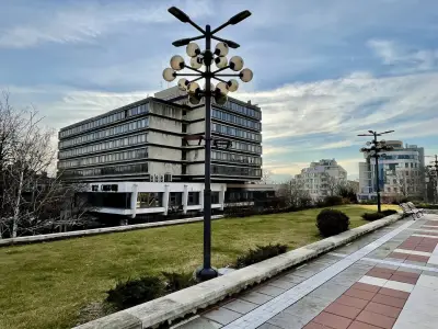Ален мак