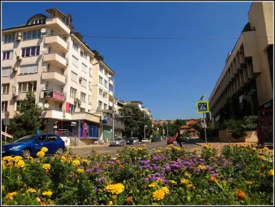 АЛЕКС