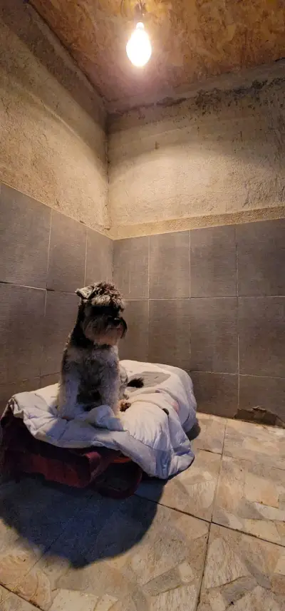 K-9 Pet Food Ltd - храни за кучета