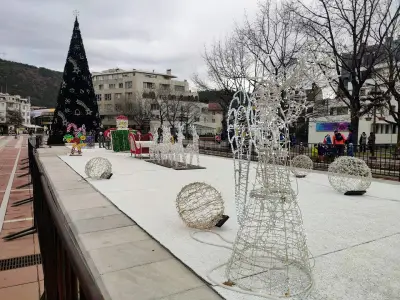 Паница библиотека