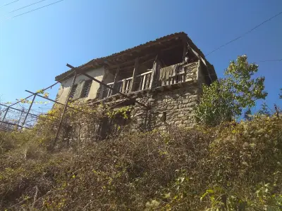 VIVACOM