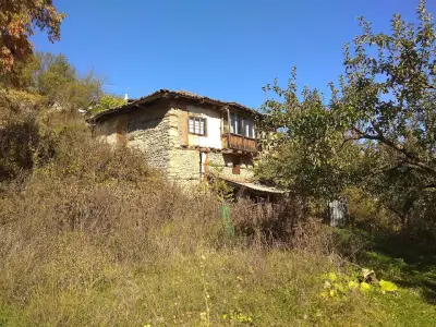 VIVACOM