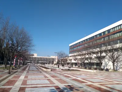 ОБЩИНА БЛАГОЕВГРАД - НАПРАВЛЕНИЕ КУЛТУРА