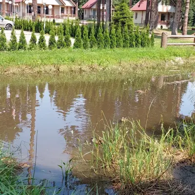 Боровец Национална Спортна Академия