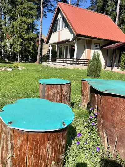 Боровец Национална Спортна Академия