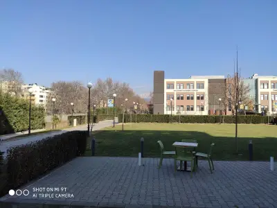 Гладният Грифон
