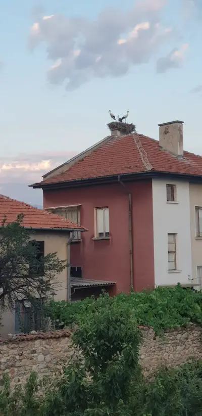 Hotel Mishel