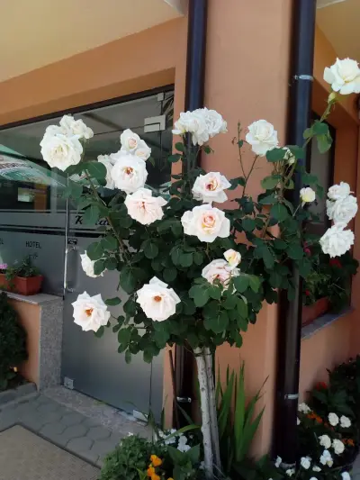 City Blagoevgrad Family Hotel