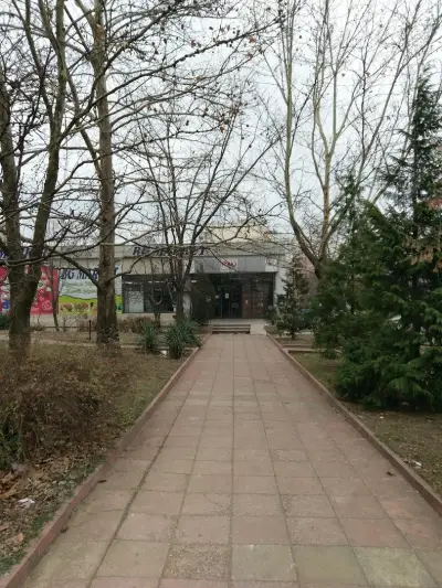 BG MARKET 1