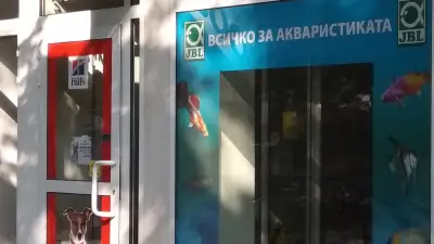 Зоомагазин Aquarium & Pet