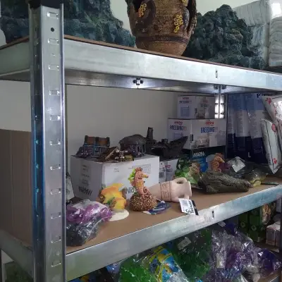 Зоомагазин Aquarium & Pet
