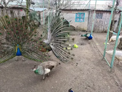 Зоопарк Бургас