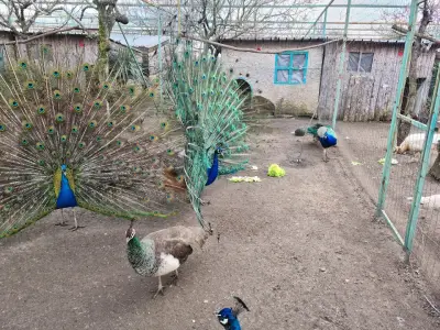 Зоопарк Бургас