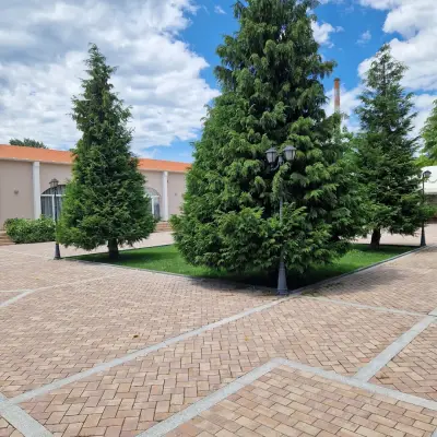 Тайната градина