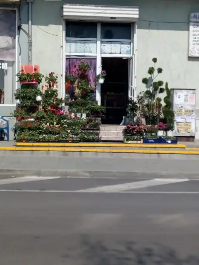 Малки Тайни