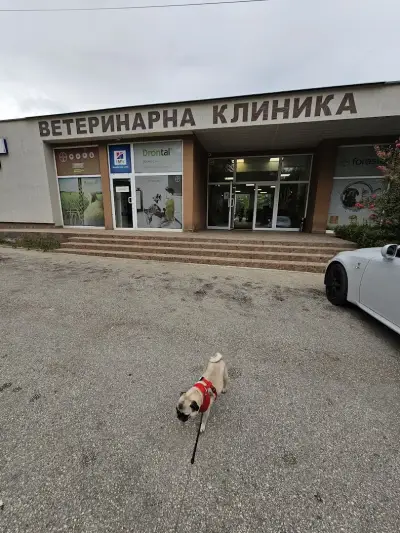 ИДА ВЕТ