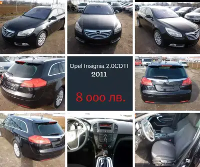 Max Auto 2010
