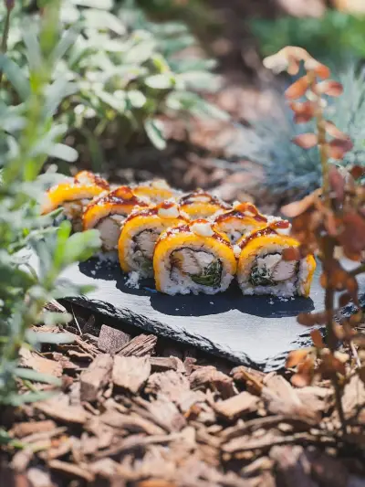 Ninja Sushi - the best sushi in Pleven