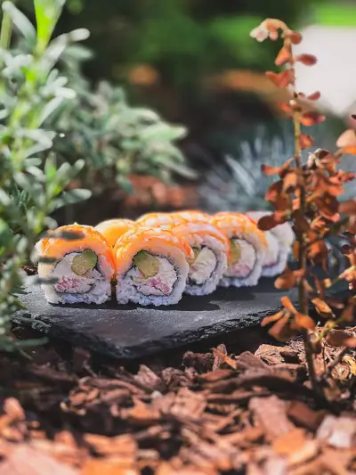 Ninja Sushi - the best sushi in Pleven