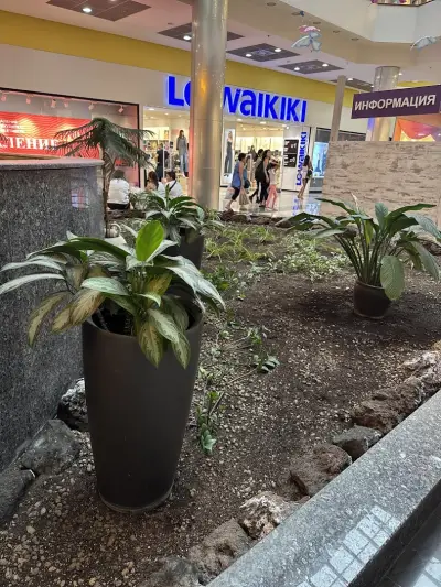 Pandora Pleven - Panorama Mall
