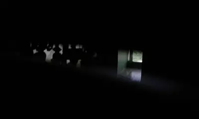 ДЗИ Плевен
