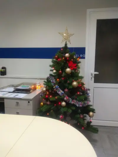 ДЗИ Плевен Север (DZI Pleven Sever)