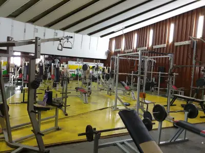 Cronos Gym