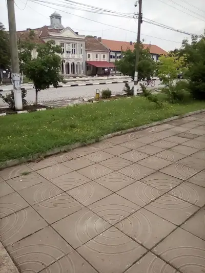 БРЕНИЦА МЕБЕЛ (БРАТЯ ЖЕЛЕВИ ЕООД)