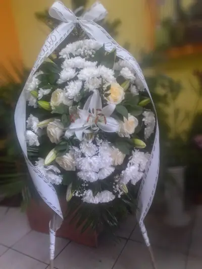 Далия Сан Стефано