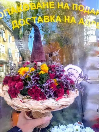 Далия Сан Стефано