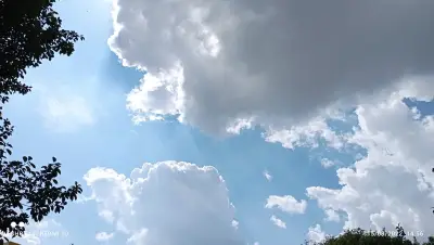 Супермаркет Фантазия