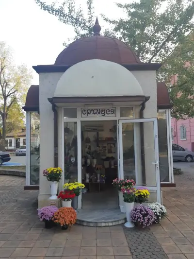 Цветарница Орхидея