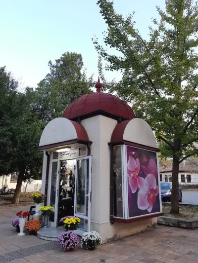 Цветарница Орхидея