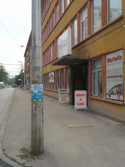 Мимоза бюти стил
