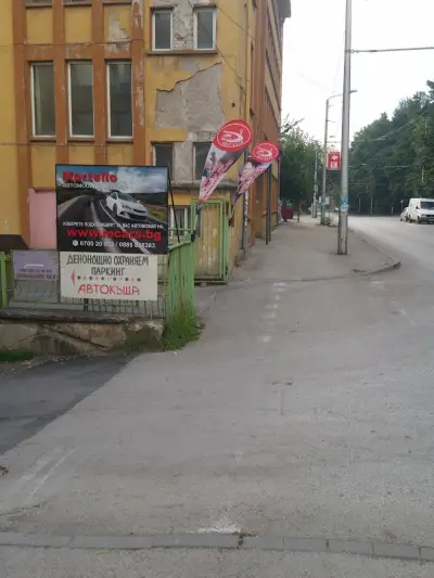 Мимоза бюти стил