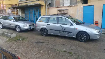 Мимоза бюти стил