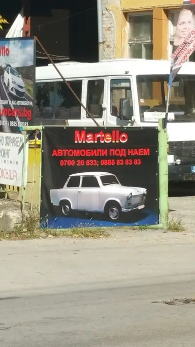 Мимоза бюти стил
