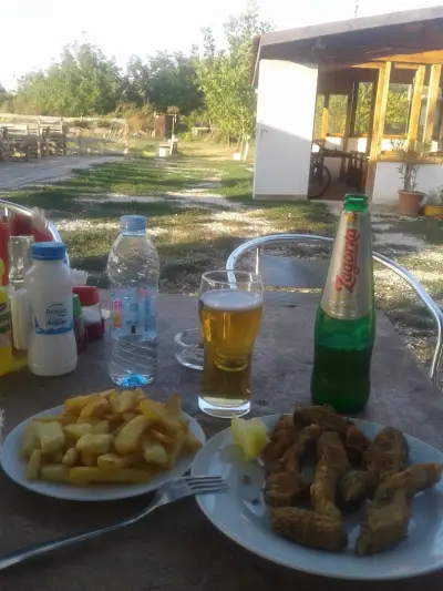 Язовир Ясен