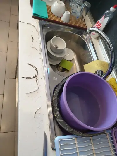Глория