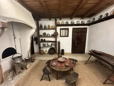 Регионален исторически музей - Плевен