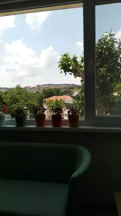 Счетоводна къща