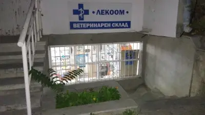 ЛЕКООМ