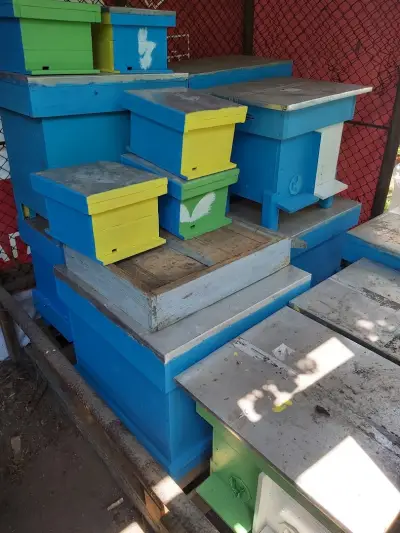 Popovi Beekeepers "Father & Son"